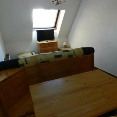 Chaleureux A 300m Des Pistes Avec Parking Gratuit - Fr-1-557a-33 La Ferriere (Isere)